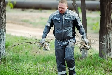 Город стал чище