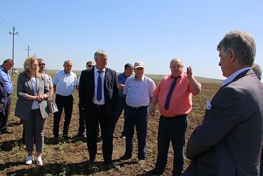 Навести порядок с сельхозугодиями