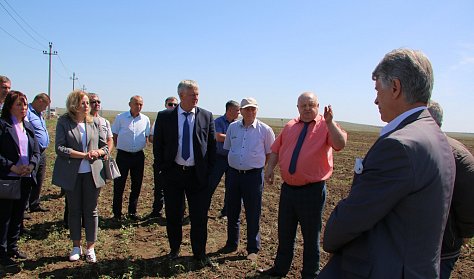 Навести порядок с сельхозугодиями