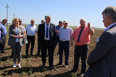 Вернуть в оборот пустующие угодья: новые меры поддержки