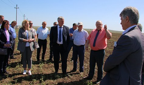 Вернуть в оборот пустующие угодья: новые меры поддержки