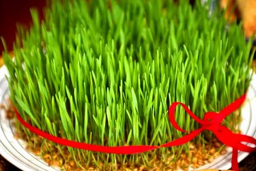 21 марта – Навруз