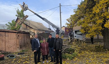 Угрозу от старых деревьев ликвидировали