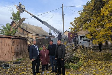 Угрозу от старых деревьев ликвидировали