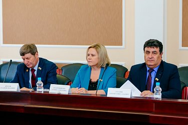 Молодежный парламент вышел с законодательной инициативой