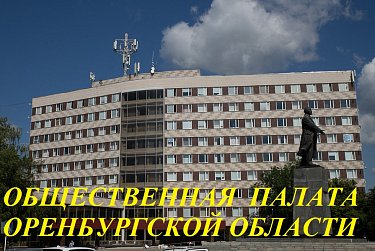 Начата процедура утверждения нового члена Общественной палаты