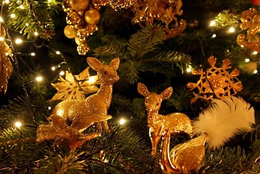 С Новым годом, 2025 годом!