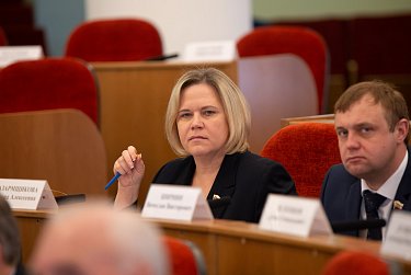 Депутаты дали оценку работе омбудсмена и аудиторов