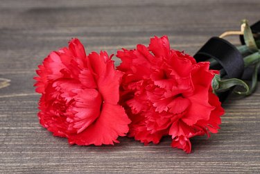 Законодательное Собрание выражает соболезнования