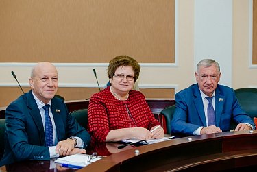 Парламент в деталях