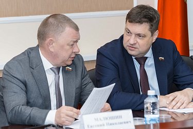 Депутаты обсудили финансирование села