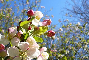 С праздником Весны и Труда!