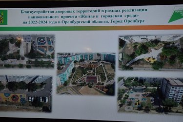 Твой голос – за будущее своего двора 