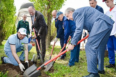 Тополь Победы в Оренбурге