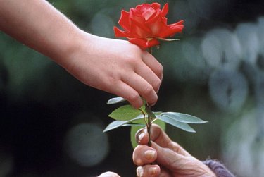 8 июня – День социального работника