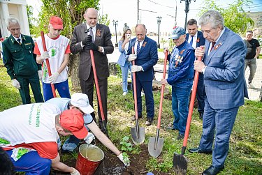 Тополь Победы в Оренбурге