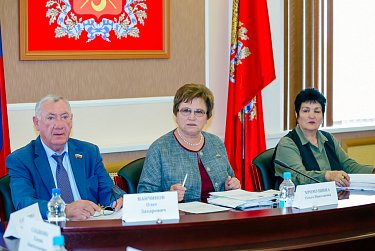 Ольга Хромушина: «Цель законопроекта – улучшение качества жизни многодетных семей»