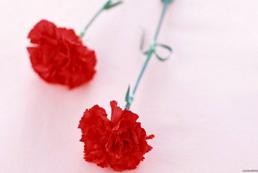 Соболезнование