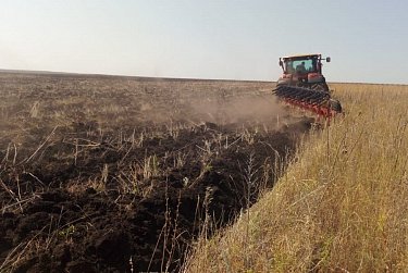 Вернуть в оборот пустующие угодья: новые меры поддержки