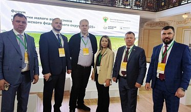 Профессиональный диалог для эффективных решений