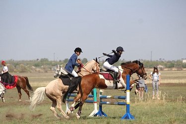 В Орске сохраняют конноспортивные традиции