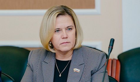 Фракция ЛДПР разработала законодательную инициативу