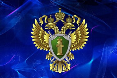 12 января – День работника прокуратуры РФ