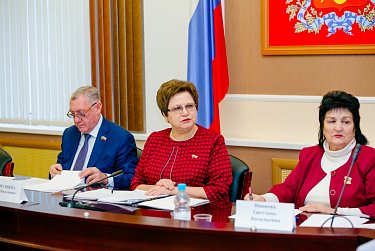В центре внимания депутатов – проблемы многодетных семей