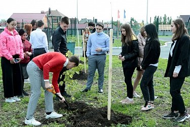 О школьных годах напомнит аллея