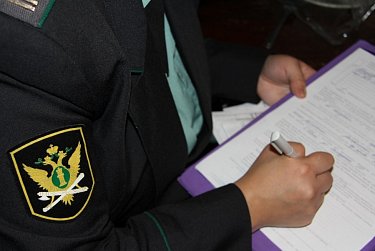 1 ноября – День судебного пристава