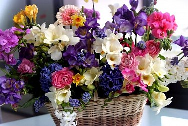 Депутаты поздравили женщин