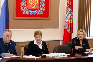 Депутаты поднимут тему частной медицины