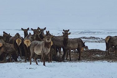 Расширить возможности региона 