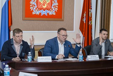 Требования к претендентам в бизнес-уполномоченные станут жестче