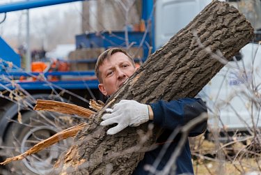 Чисто в Зауральной роще