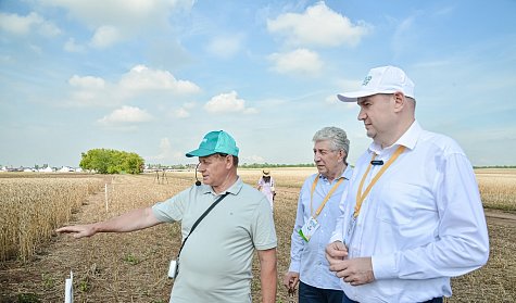 День поля – 2025